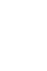 palme-droite.png