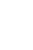 palme-droite.png