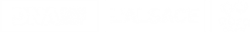 dna_als_ebra_horizontal_blanc.png